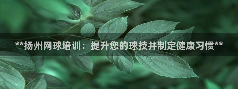 焦点娱乐官方网站下载手机版苹果