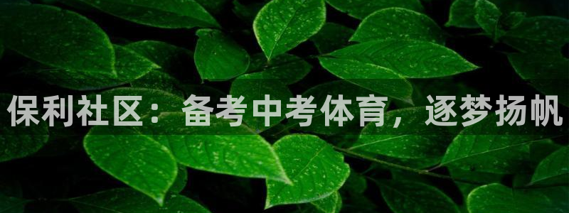 焦点娱乐平台是正规的吗知乎文章：保利社区：备考中考体