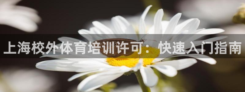 焦点娱乐如何注册账号：上海校外体育培训许可：快速入门